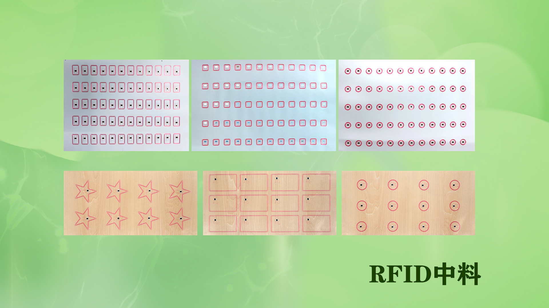 微信圖片_20250704114502 微信圖片_20250704114502