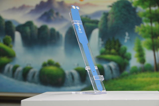 “IC護照”聽說了沒 “IC護照”聽說了沒